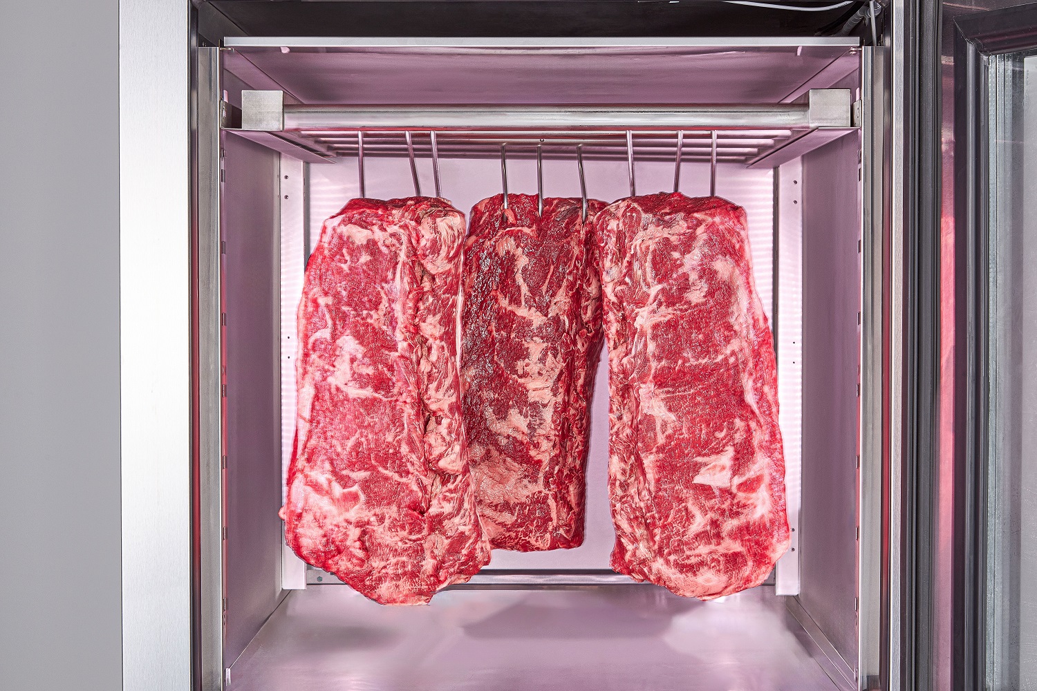Top/bottom 2 door - 2 controller Meat Mturing Refrigerator detail mini size images